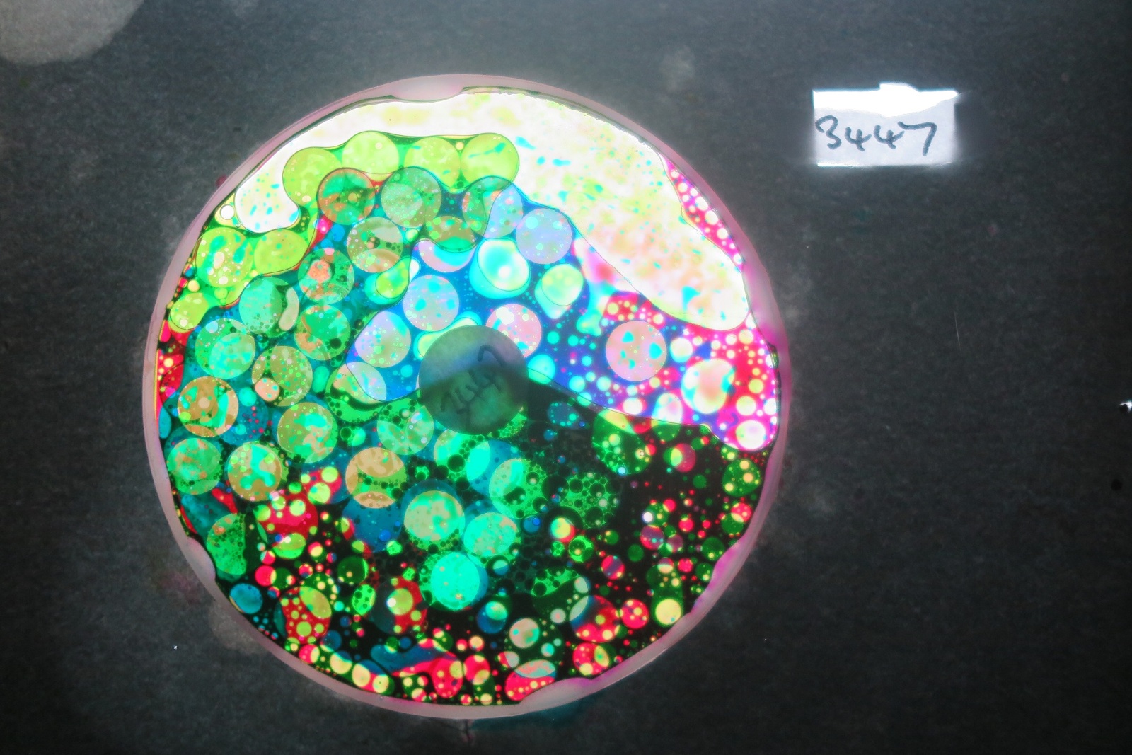 BV3447 bubble vision oil wheel